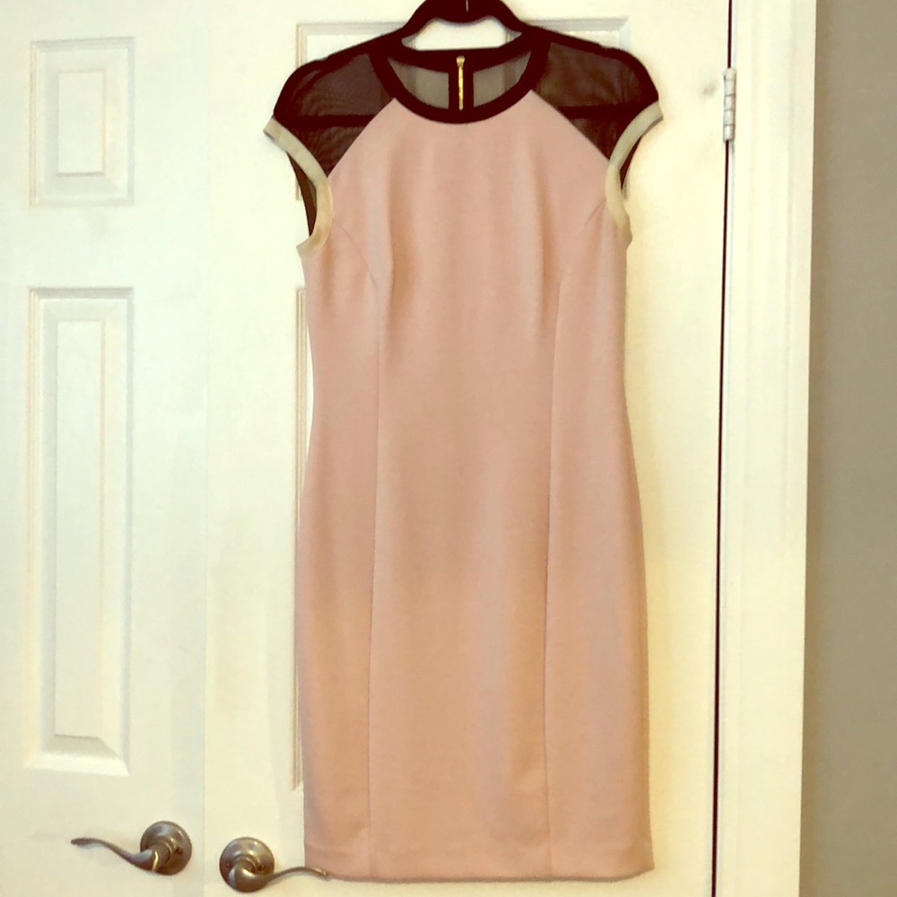 Donna Morgan pink mesh top sheath zip dress